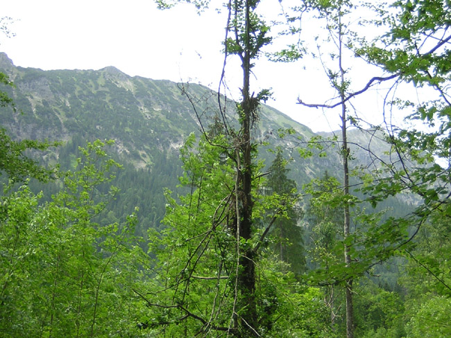 16Kuchelbergspitze