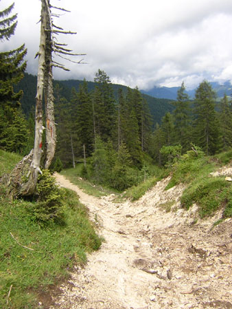 08Richtung-Steinberg