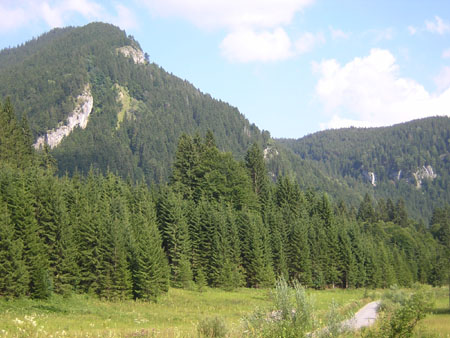 16BlickZurueckZumStolzenberg