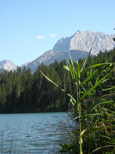 16derBarmsee