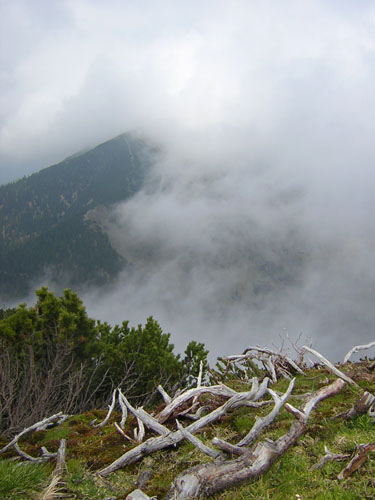 12Notkarspitze