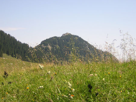 01Blick-von-der-Reindleralm