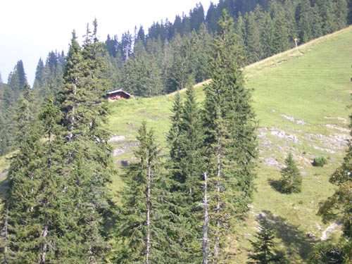 04SchneidAlm