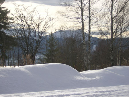 08Hirschberg